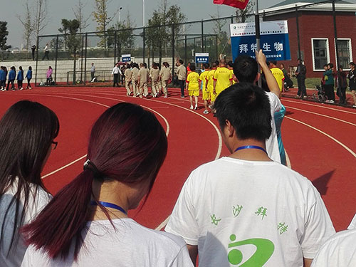 經開區(qū)運動會 經開區(qū)運動會